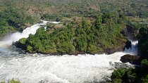 3 Days Murchison Falls Park Safari