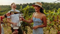 Hunter Valley All Inclusive, Wine, Chocolate Tasting and Lunch 