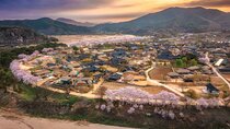5-Day Korea Golden route by K-shuttle Tour from Seoul Including Busan, Yeosu