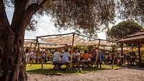 Visit Cassone and Kaiken Wineries with Lunch at Francis Mallmann 