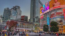 Discover the Streets of Tokyo Shibuya - 3 H Private walking tour!