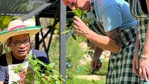 Thai Cooking class + Garden tour +Thai Fruit tasting 