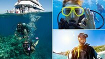 Side Scuba Diving with Transfer and Lunch
