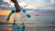 Ras Mohamed and white island full day with lunch -Sharm El sheikh