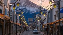 Customizable 10 Hour Private Tour from Tokyo to Mount Fuji