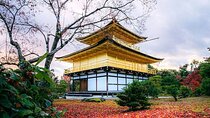 10 Hour Private Customizable Tour to Kyoto from Osaka