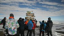 7 Days Mountain Kilimanjaro via Machame Route (Whiskey route)