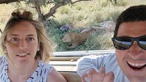 4 Days Tarangire Serengeti Ngorongoro Crater