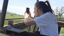 5 Day Camping Tarangire Serengeti Ngorongoro and Maasai Tour