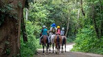 Mega Combo Rincon de la Vieja: Adventure, Nature and Relaxation