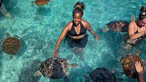Swim and Snorkel and Sunset Dhow Cruise in Nungwi