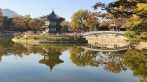 Fullday Customizable Private Tour in Seoul or DMZ or Nami Island 
