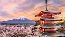 Fuji and Hakone Private Tour with English Guide and Photography