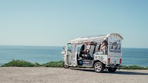 Porto Half Day Tuk Tuk Tour Clérigos, Seaside and Viewpoints