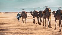 2day Shared tour to zagora desert via Atlas mountains