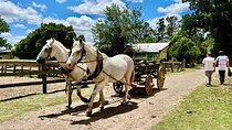 Gaucha Party with Meals and Activities in Buenos Aires