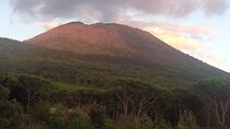 Mount Vesuvius Hike and Sorrento Coast Sailing Tour