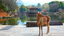 Nara Park, Osaka & Kobe from Kyoto Full Day tour