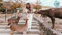 Discover Nara Park, Kyoto Highlights and Fushimi Inari from Osaka