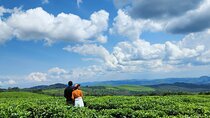 Best of Rwanda 8 Day Gorilla trekking and Safari Holiday