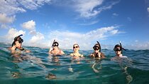 Family Shared Boat 