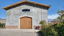 2 Winery Tour in Valle de Uco with Lunch Included