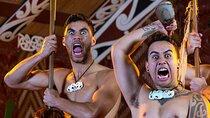 Haka to Waves PRIVATE Auckland West Coast Journey