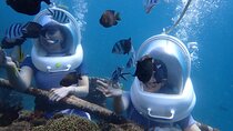 Bali Marine 3 Water Activities in Nusa Dua 