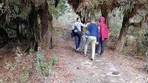 One Night Homestay Tour to Panchase from Pokhara