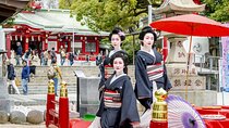 Enjoy Cultural Downtown and Traditional Cuisine from Tokyo 