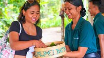 Kaura Pool and Dine Choose Optional Tour with Private Transfer