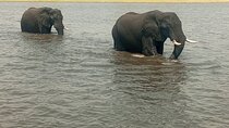 8-Day Victoria Falls, Chobe National Park and Okavango Delta Tour