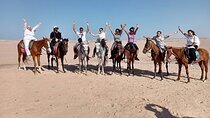 Horse Ride, Egyptian Show & Bedouin Dinner - Sharm El Sheikh