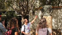 Flamenco Tour in Seville