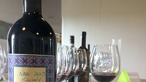 Make Your own Wine in Chianti hills (accepted minimum 4 pax)