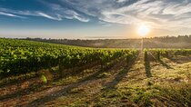Cape Winelands Private Tour