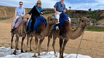 Private Tour: Tangier From Malaga. Breakfast and Lunch Included