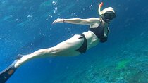 2 Days and 1 Night Bali Pemuteran Snorkeling and Nature Escape