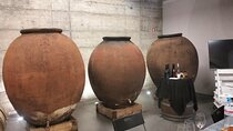 Private Algarve Wines Route