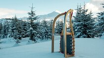 Winter Adventure day in Mountains: 3 km sledge ride 