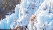 Eobi Valley, Alpaca World, Nami Island, Railbike/Garden fr Seoul