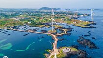 Scenic Jeju Tour with Private Vehicle and Driver