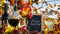 Cooking Class & Wine Tasting in a Chianti Farm