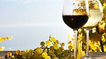 Nemea and Nafplio Wine Roads Private Day Tour