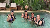 Discover Scuba Dive Catalinas Islands