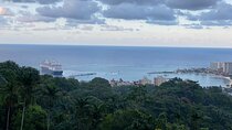 Ocho Rios Sightseeing Tours and Shopping