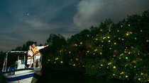 Kuala Selangor Fireflies Tour with Fort Altingsburg & Dinner