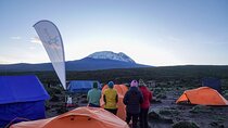Mount Kilimanjaro Trek 8 days Lemosho Route