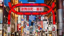 Shinjuku Night Tour and Explore Tokyo Neon Wonderland