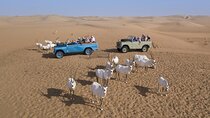 Heritage Safari Dubai in Vintage Land Rover with Dinner